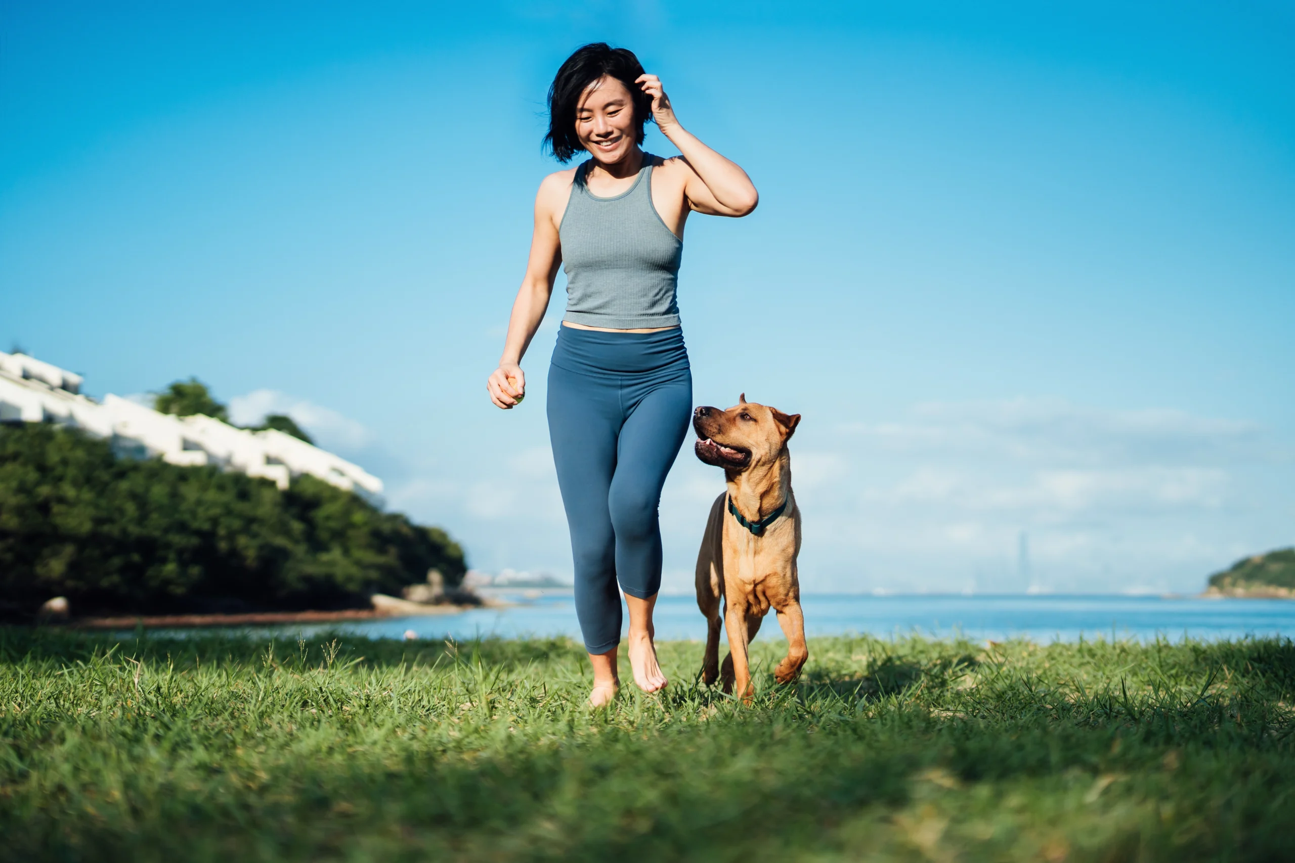 iStock